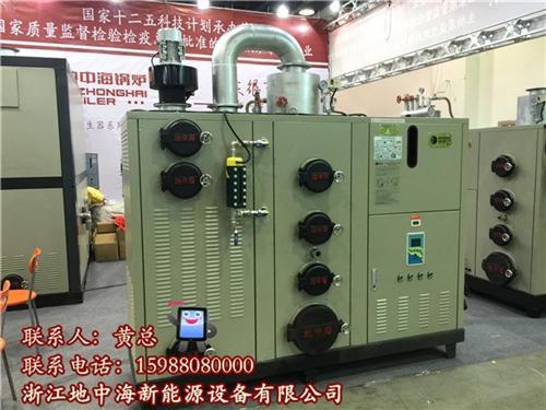 上海生物质锅炉地中海新能源节能减排图生物质锅炉厂家